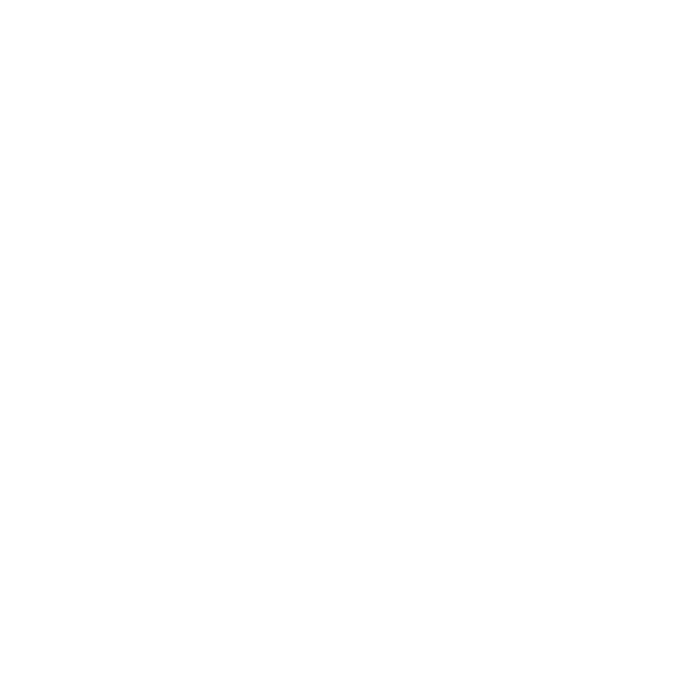 Payne Detailing Group